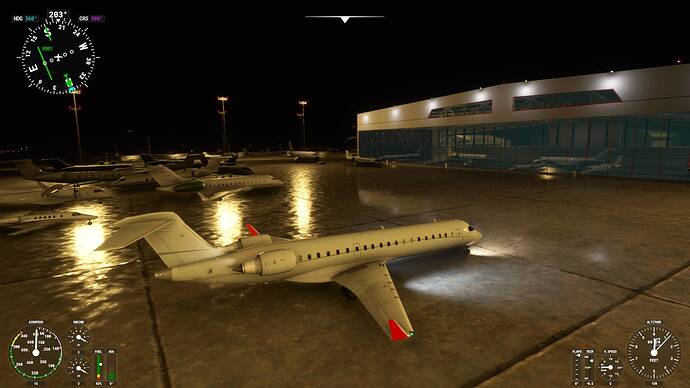 Microsoft Flight Simulator 11_08_2021 23_47_43