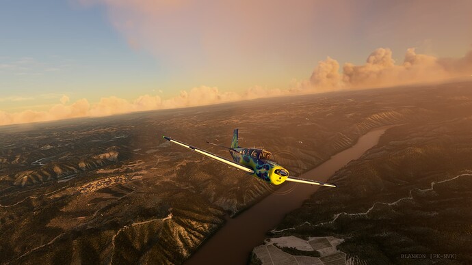 Microsoft Flight Simulator - 1.24.5.0 26-Mar-22 3_23_33 AM