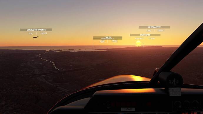 Microsoft Flight Simulator 8_1_2021 7_41_22 PM