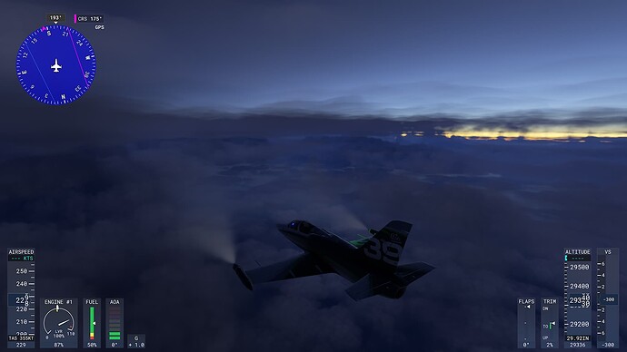 Microsoft Flight Simulator 2024-2024_12_21-20_21_58