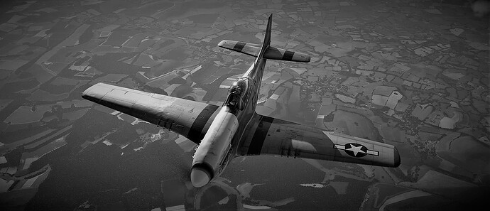 P51 over France (3)