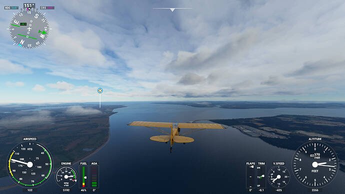 Microsoft Flight Simulator 7_26_2021 2_54_56 PM