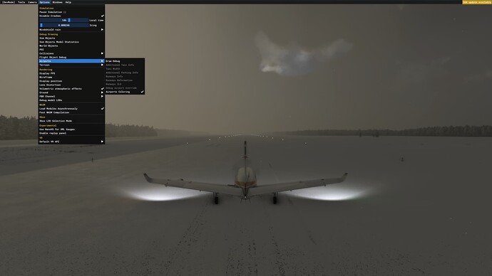 Microsoft Flight Simulator Screenshot 2022.01.05 - 12.44.30.05