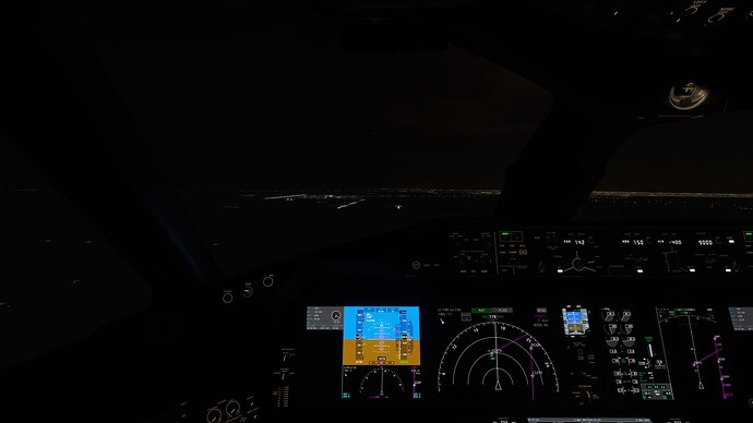 Microsoft Flight Simulator_2021.11.08-20.54