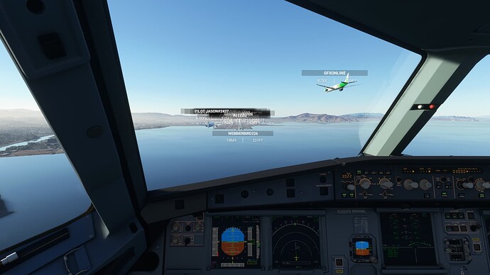 Microsoft Flight Simulator Screenshot 2021.12.10 - 22.43.22.97