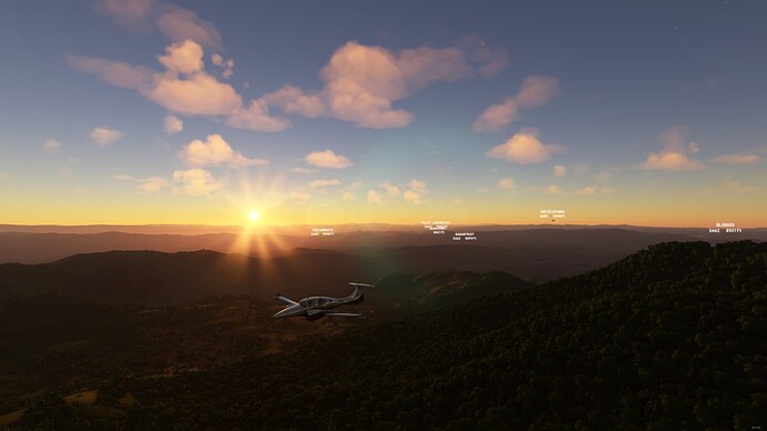 Microsoft Flight Simulator - 1.21.18.0 13.01.2022 20_53_58