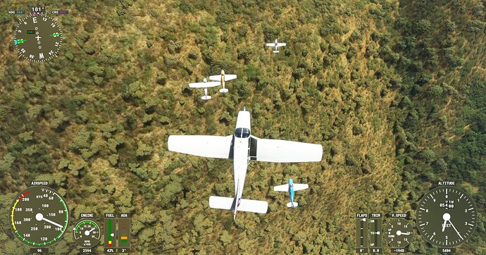 Microsoft Flight Simulator Screenshot 2022.01.10 - 21.50.29.68