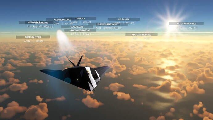 Microsoft Flight Simulator 2024. 01. 19. 22_17_31