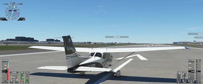 Microsoft Flight Simulator 7_21_2022 8_25_54 PM