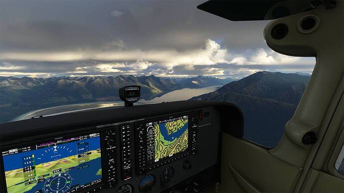 Microsoft Flight Simulator 2021-08-02 11_39_25 copy