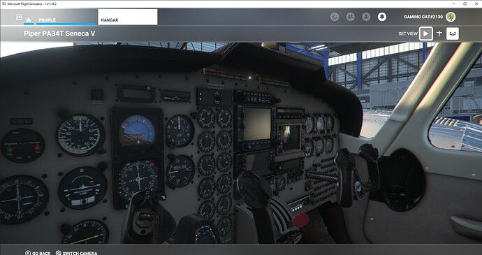 Microsoft Flight Simulator 17.01.2022 12_50_29