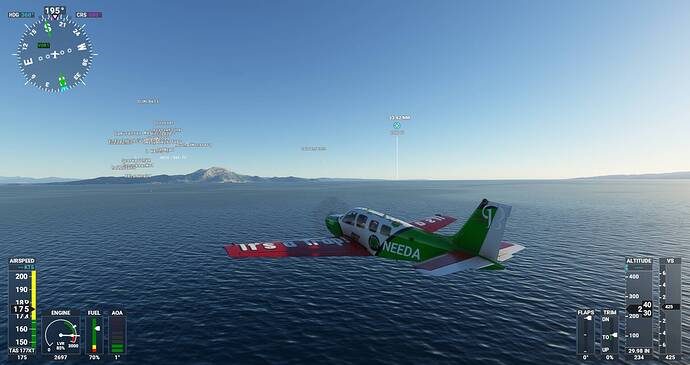 Microsoft Flight Simulator Screenshot 2021.06.28 - 19.57.13.83