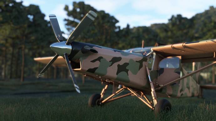 Microsoft_Flight_Simulator_2024-11-22_10_05_04_PM