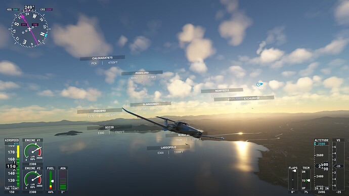 Microsoft Flight Simulator Screenshot 2022.02.11 - 21.41.33.11