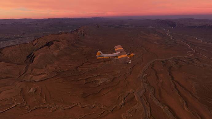 Microsoft Flight Simulator 7_1_2021 2_03_00 PM