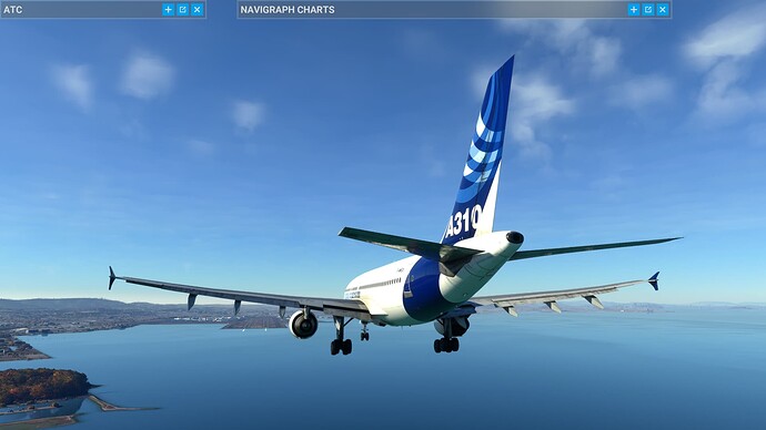Microsoft Flight Simulator 11_11_2022 21_54_52