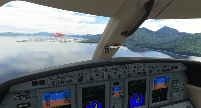 Microsoft Flight Simulator 11_10_2021 12_15_12 PM