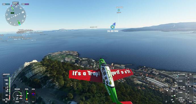 Microsoft Flight Simulator Screenshot 2021.06.28 - 19.55.07.81