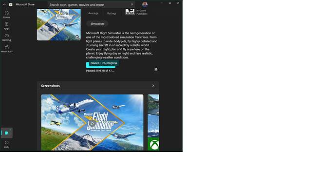 Microsoft Flight Simulator