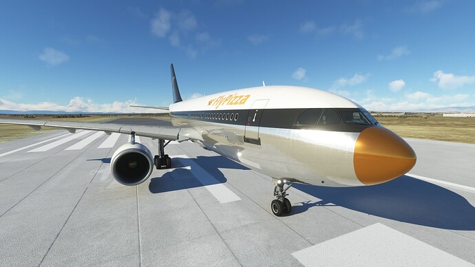 A310 FlyPizza 02