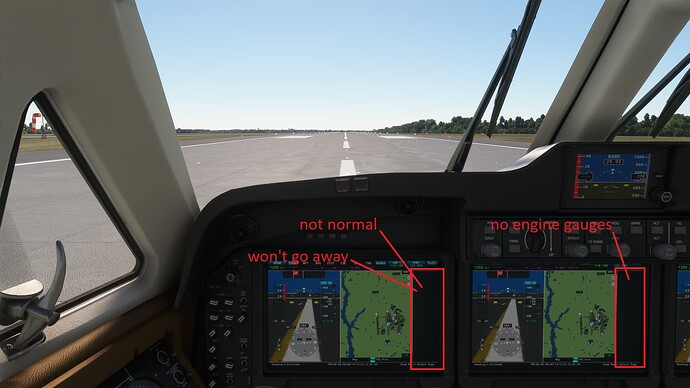 Microsoft Flight Simulator Screenshot 2024.01.20 - 13.46.22.80