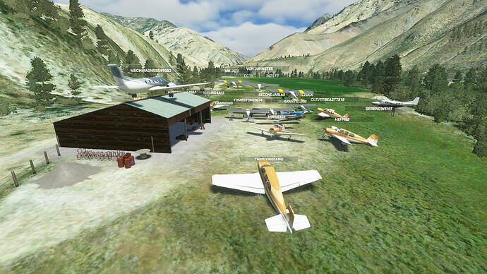 Microsoft Flight Simulator Screenshot 2021.06.04 - 21.45.10.98