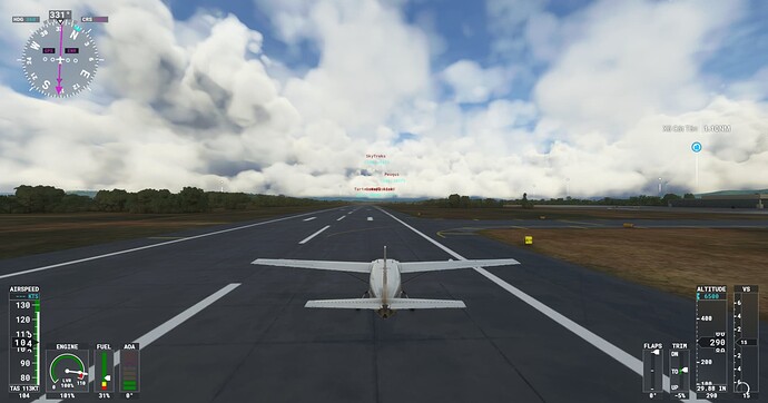 Microsoft Flight Simulator Screenshot 2021.12.18 - 22.18.18.54