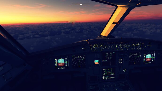 Microsoft Flight Simulator 18_10_2023 03_14_34.png