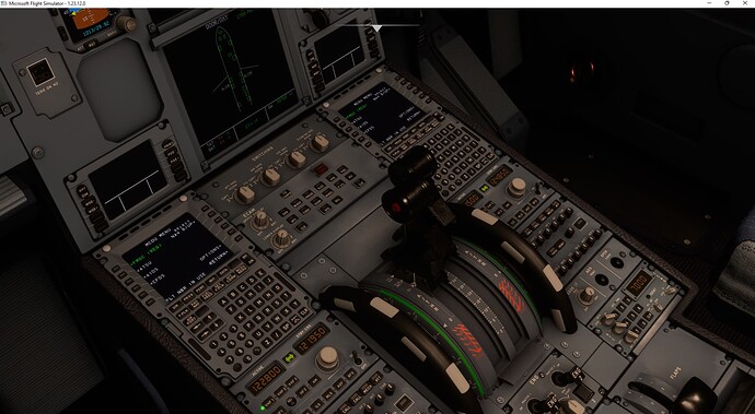 Microsoft Flight Simulator 19_03_2022 23_28_57