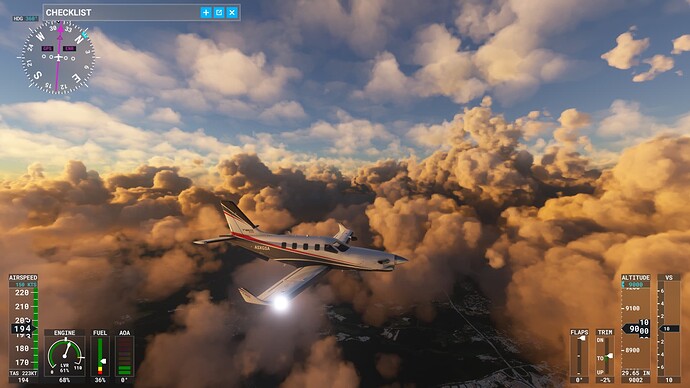 Microsoft Flight Simulator 1_8_2022 4_34_02 PM