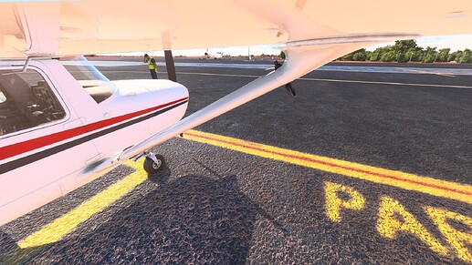 Microsoft Flight Simulator Screenshot 2024.03.25 - 09.37.59.19