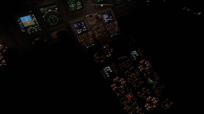 Microsoft Flight Simulator 20.12.2021 12_07_50