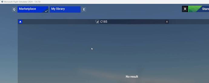 FlightSimulator2024_bhlIkSnEDN