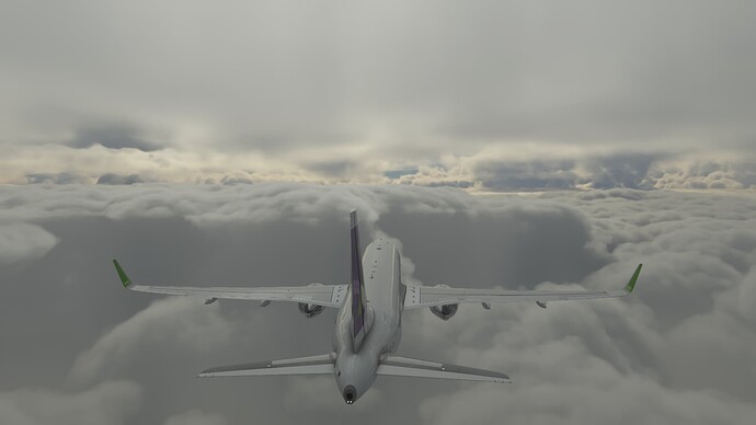 Microsoft Flight Simulator_2022.04.21-13.45_1
