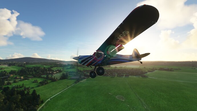 Microsoft Flight Simulator 8_5_2022 5_33_58 PM