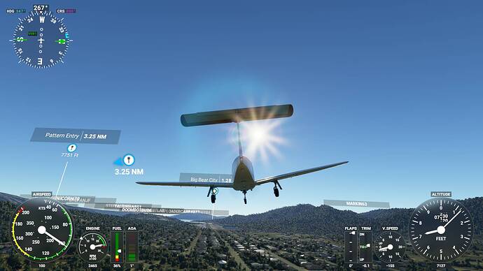 Microsoft Flight Simulator 5_29_2021 5_58_13 PM