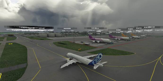 Schiphol Arrival