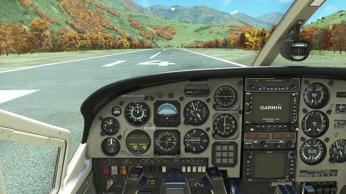 Microsoft Flight Simulator 18.01.2022 17_52_30