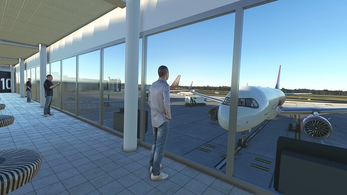 Microsoft Flight Simulator 22_12_2021 20_40_50