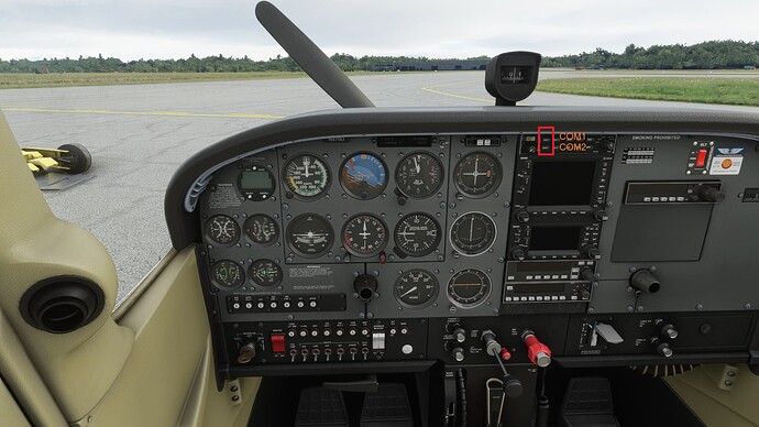 Microsoft Flight Simulator 11_11_2020 12_41_15 PM