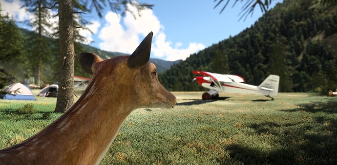 Microsoft Flight Simulator Screenshot 2024.04.15 - 18.56.10.31