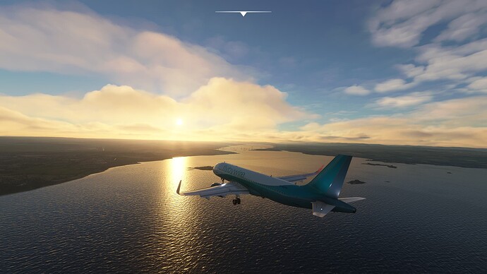 Microsoft Flight Simulator 01_10_2021 18_08_09
