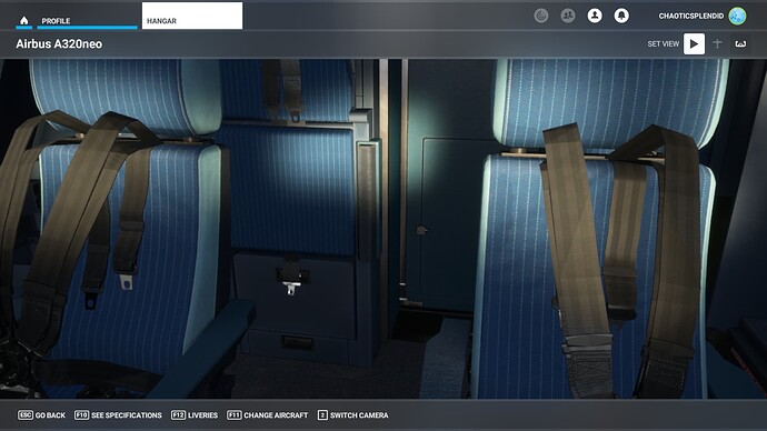 Microsoft Flight Simulator Screenshot 2022.04.02 - 20.30.03.92