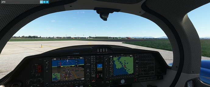 Microsoft Flight Simulator_2022.02.01-17.20