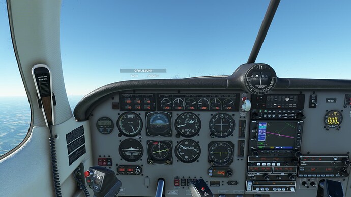 Microsoft Flight Simulator 1_24_2023 2_50_02AM