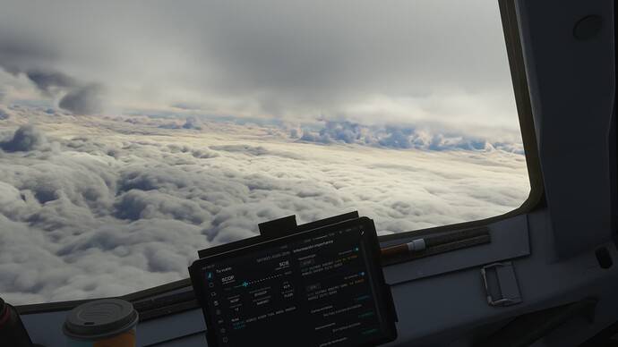 Microsoft Flight Simulator_2022.04.21-13.47