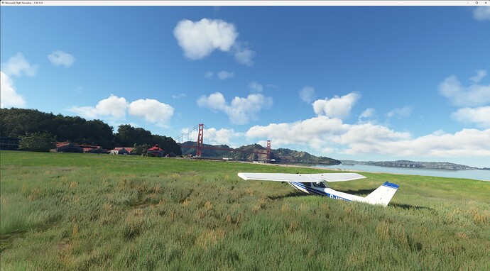 Microsoft Flight Simulator 3_16_2023 12_01_02 AM