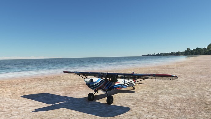 Microsoft Flight Simulator Screenshot 2022.02.06 - 22.22.35.47