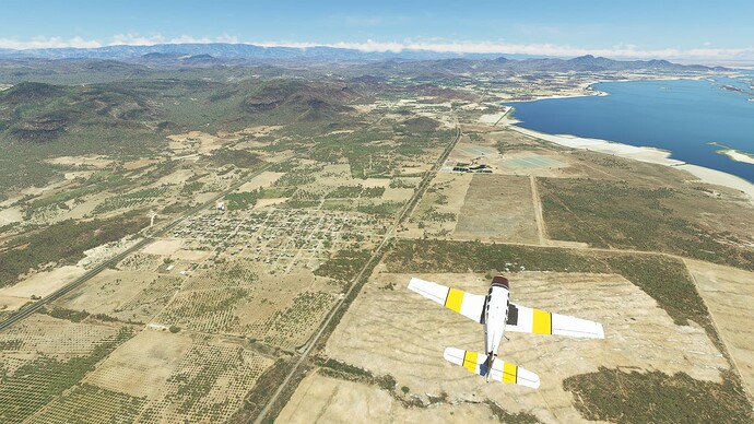 Microsoft Flight Simulator Screenshot 2022.08.20 - 09.47.27.12