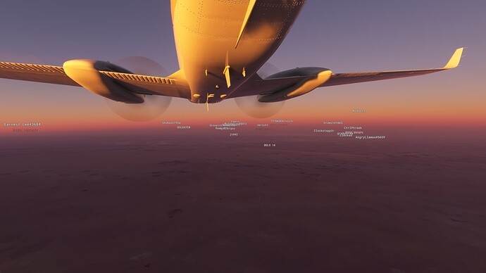 Microsoft Flight Simulator 2_24_2022 1_01_48 PM